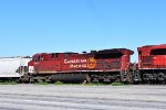 CP 8131